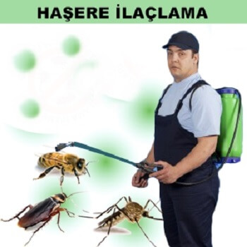 İliç Böcek İlaçlama